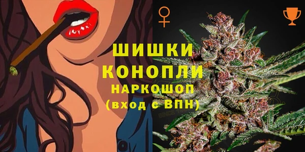 молекула духа Новозыбков